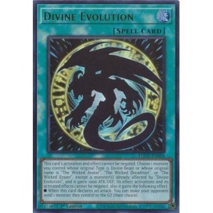 Divine Evolution