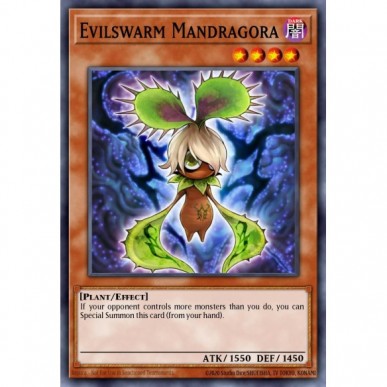 Mandragora Brancomalvagio