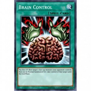Brain Control