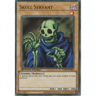 Skull Servant