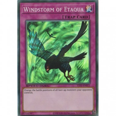 Windstorm of Etaqua