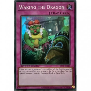 Risvegliare il Drago