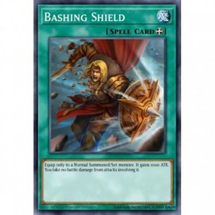Bashing Shield