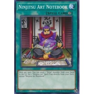Appunti Arte Ninjitsu