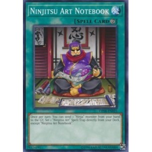 Appunti Arte Ninjitsu