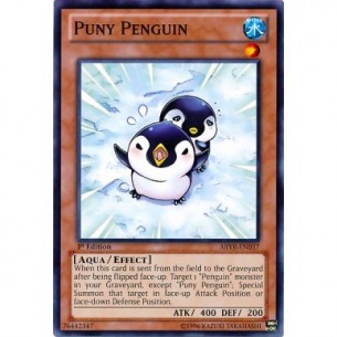 Pinguino Gracile