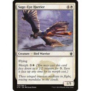 Sage-Eye Harrier
