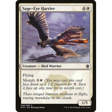 Rapace dell'Occhio Saggio