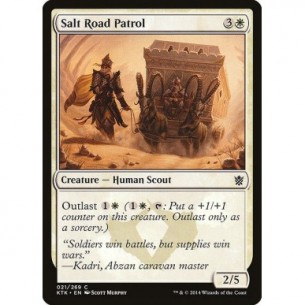 Salt Road Patrol