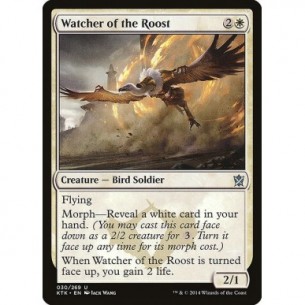 Watcher of the Roost