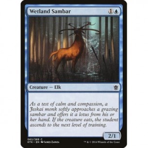 Wetland Sambar
