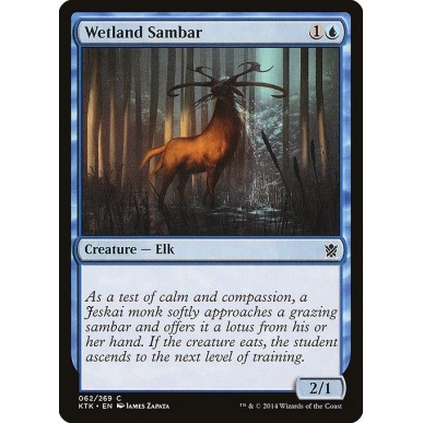 Wetland Sambar