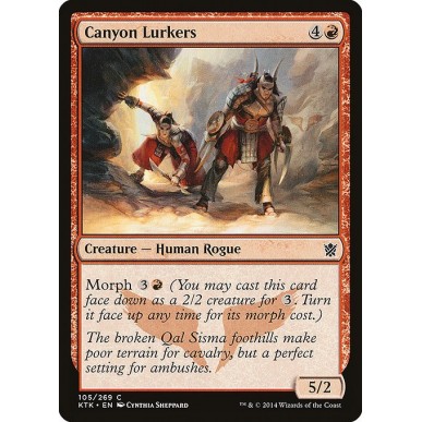Predatori dei Canyon