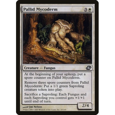 Pallid Mycoderm