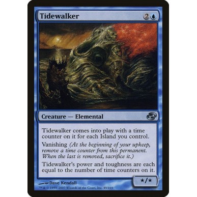 Tidewalker