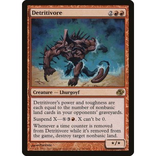 Detritivore