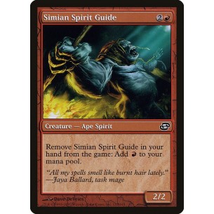 Scimmia Spirito Guida