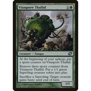 Thallid Spora Vitale