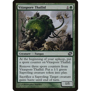 Thallid Spora Vitale
