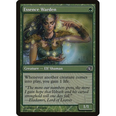 Essence Warden