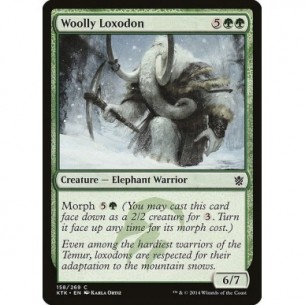 Woolly Loxodon