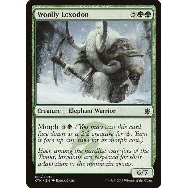 Woolly Loxodon
