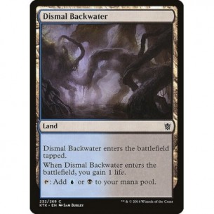 Dismal Backwater