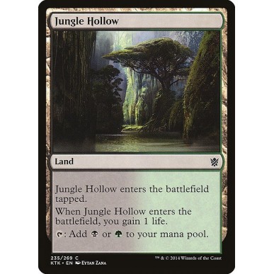 Jungle Hollow