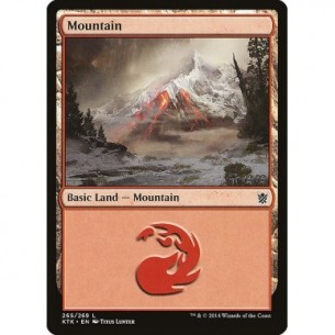 Mountain