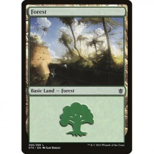 Forest