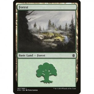 Forest