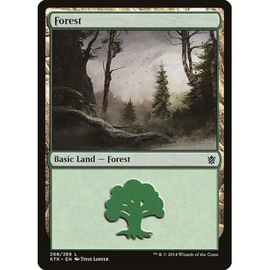 Forest