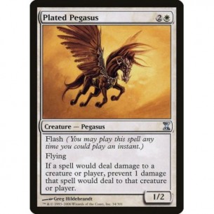 Pegaso Catafratto