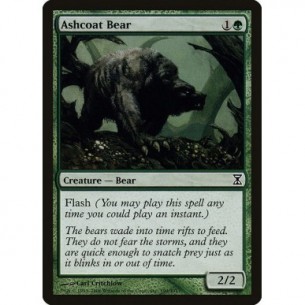 Orso dal Manto Cinerino