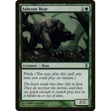 Orso dal Manto Cinerino
