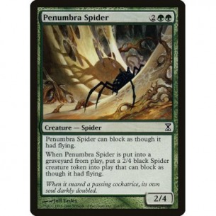Ragno della Penombra