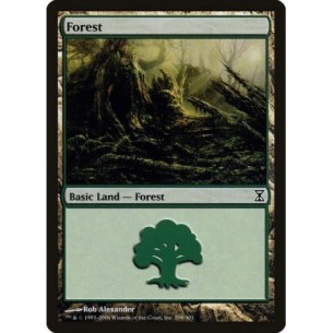 Foresta