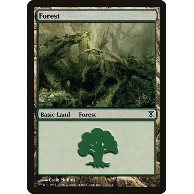 Foresta