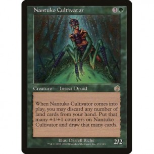 Cultore Nantuko