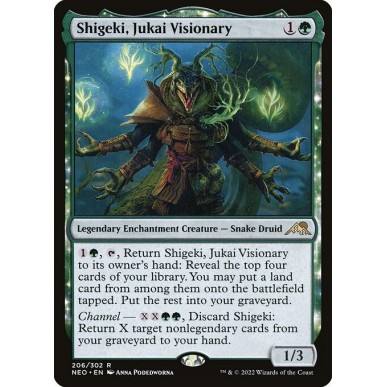 Shigeki, Visionario di Jukai