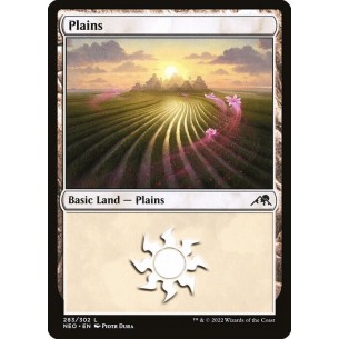 Plains