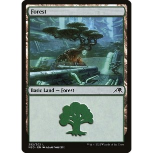 Forest