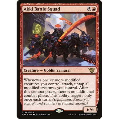 Squadra da Battaglia Akki