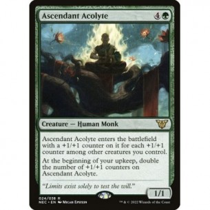 Accolito Ascendente