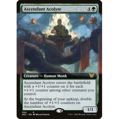 Ascendant Acolyte