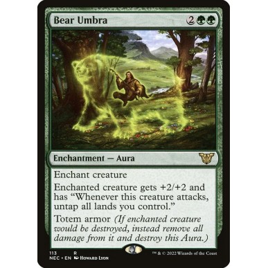 Essenza dell'Orso