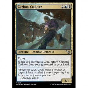 Cadavere Curioso