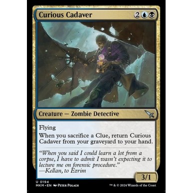 Cadavere Curioso