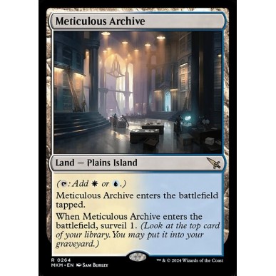 Archivio Meticoloso