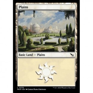 Plains